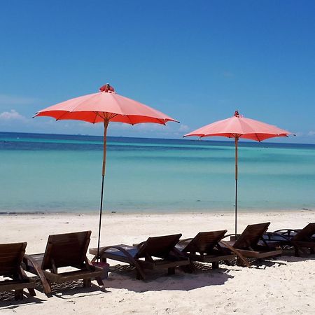 Phangan Cove Beach Resort Srithanu Extérieur photo